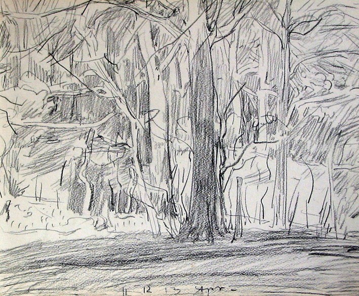 Noorderplantsoen, vanuit venster Nieuwe Ebbingestraat